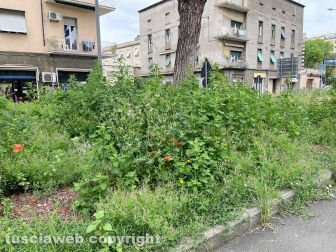 Viterbo - Piazzale Gramsci ridotto a una giungla
