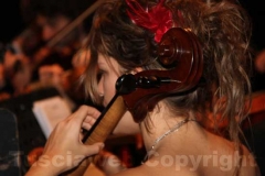 Il concerto di Capodanno