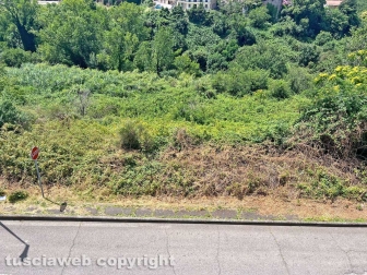 “Piove in casa da 7 mesi ma l’Ater non fa niente..."