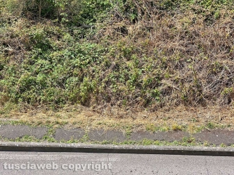 “Piove in casa da 7 mesi ma l’Ater non fa niente..."