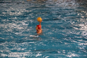 Viterbo - Finale di pallanuoto Under 20 Posillipo - Roma