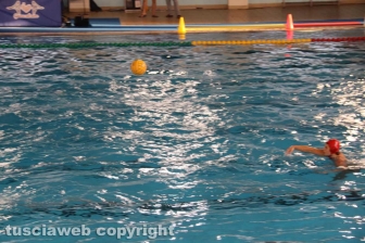 Viterbo - Finale di pallanuoto Under 20 Posillipo - Roma