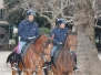 Poliziotti a cavallo in centro