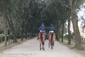 Poliziotti a cavallo a Pratogiardino
