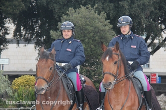 Poliziotti a cavallo a Pratogiardino