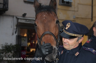 Poliziotti a cavallo a piazza delle Erbe