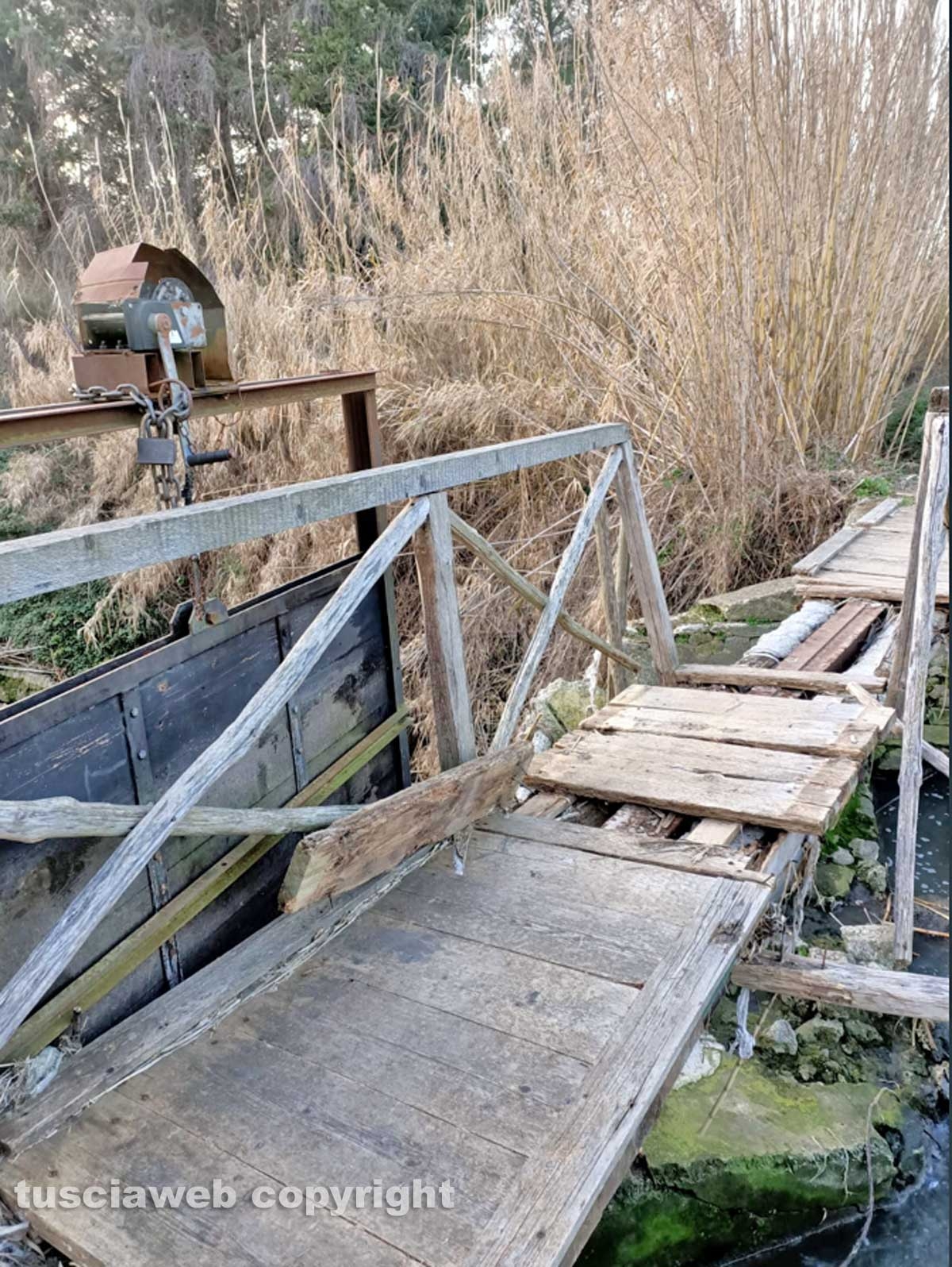Ponte Camillario 2021