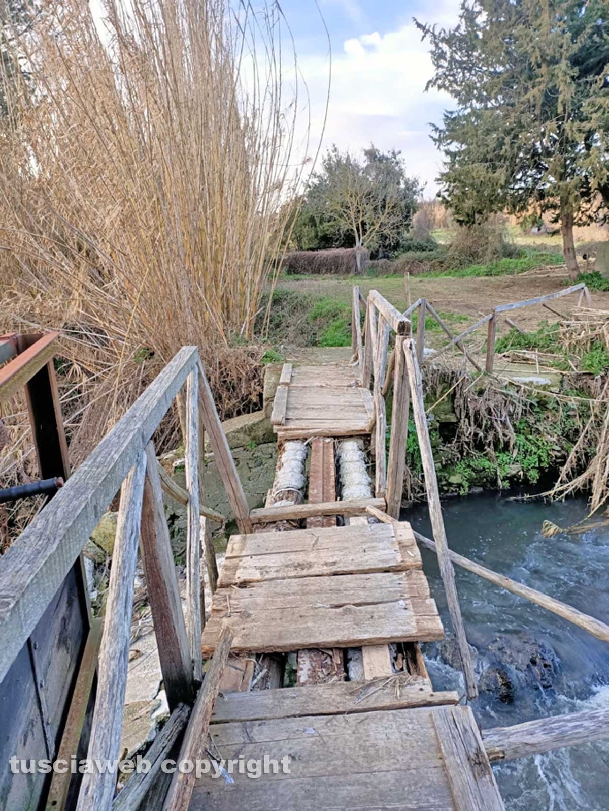 Ponte Camillario 2021