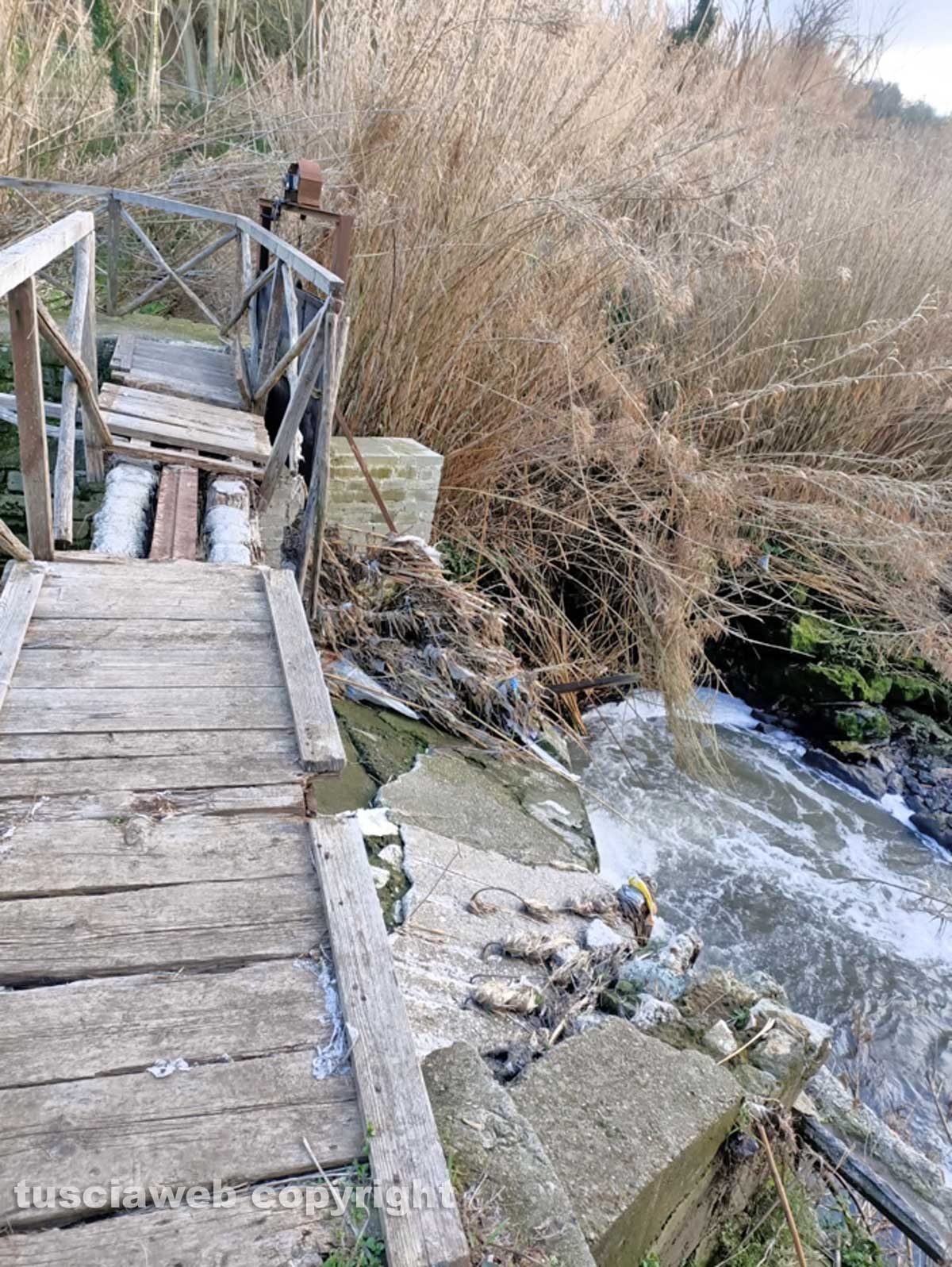 Ponte Camillario 2021