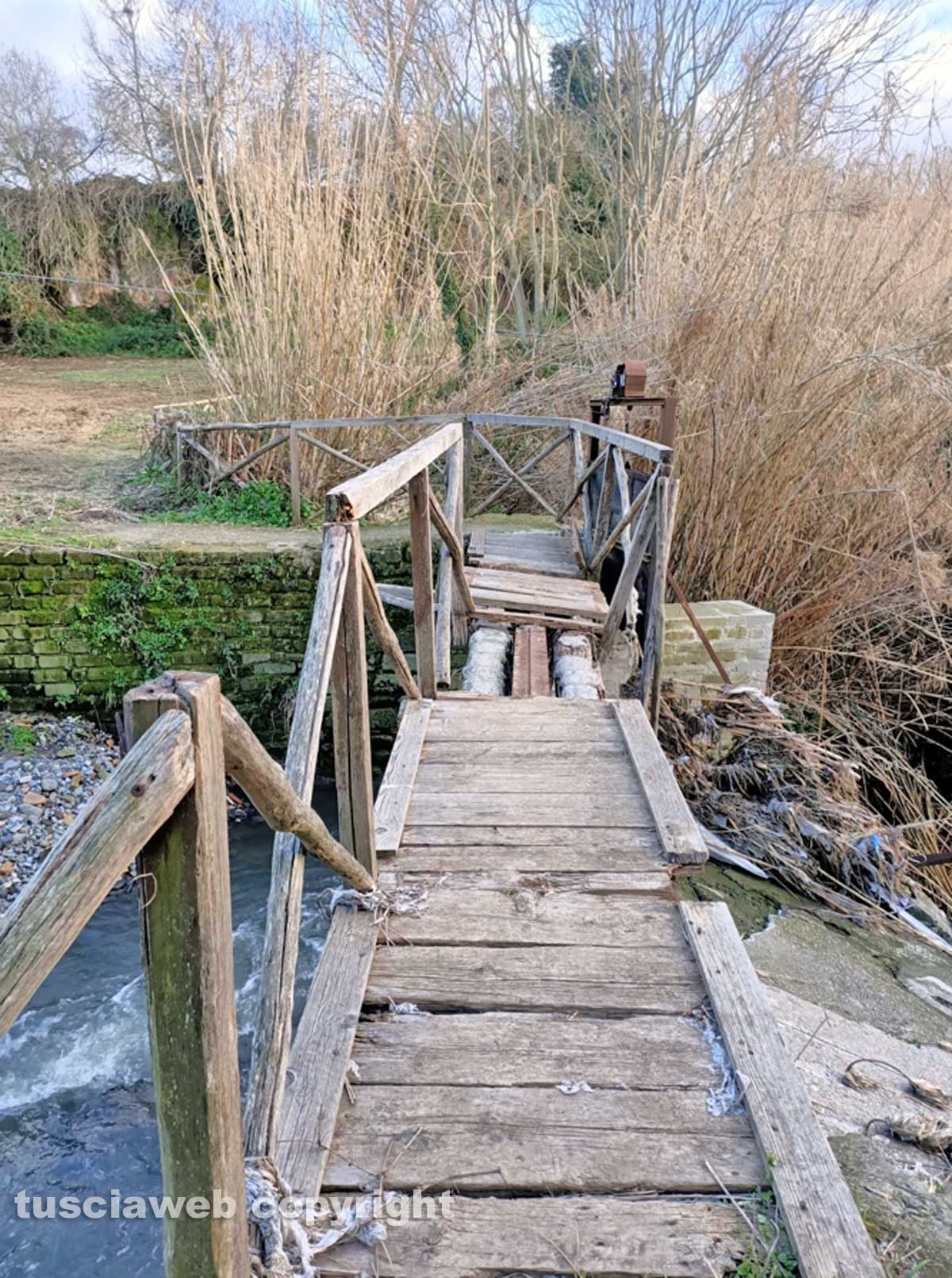 Ponte Camillario 2021