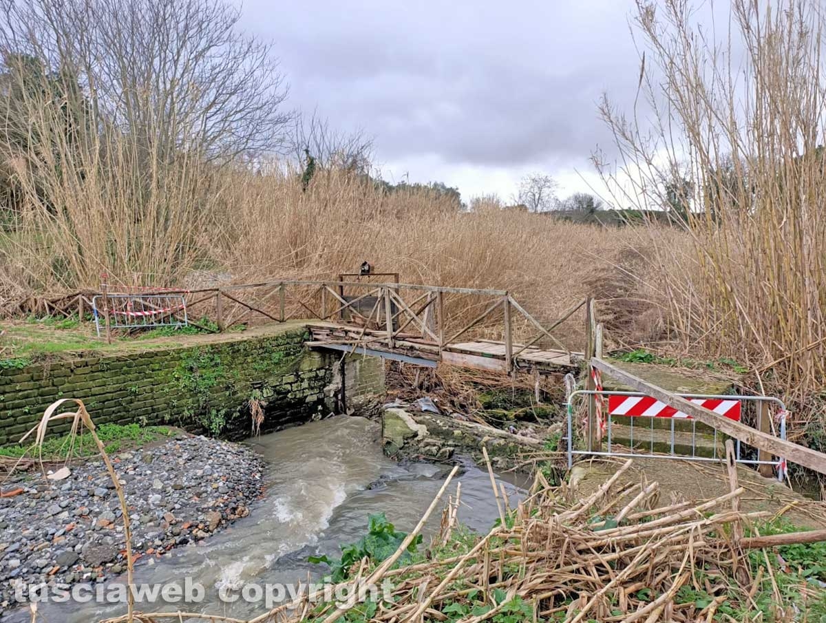 Ponte Camillario 2021