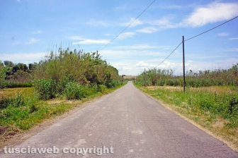 DSC07405