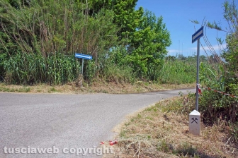 DSC07447