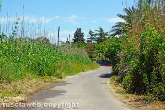 DSC07460