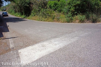 DSC07548