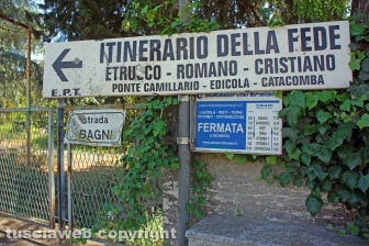 DSC07597