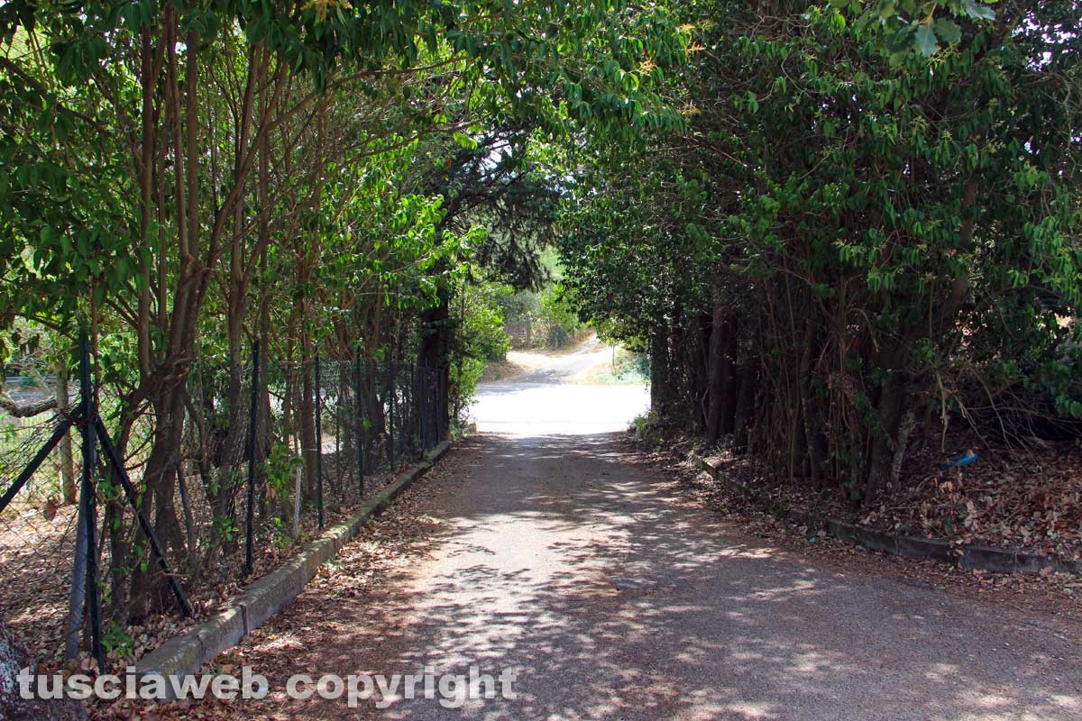 Ponte di Cetti