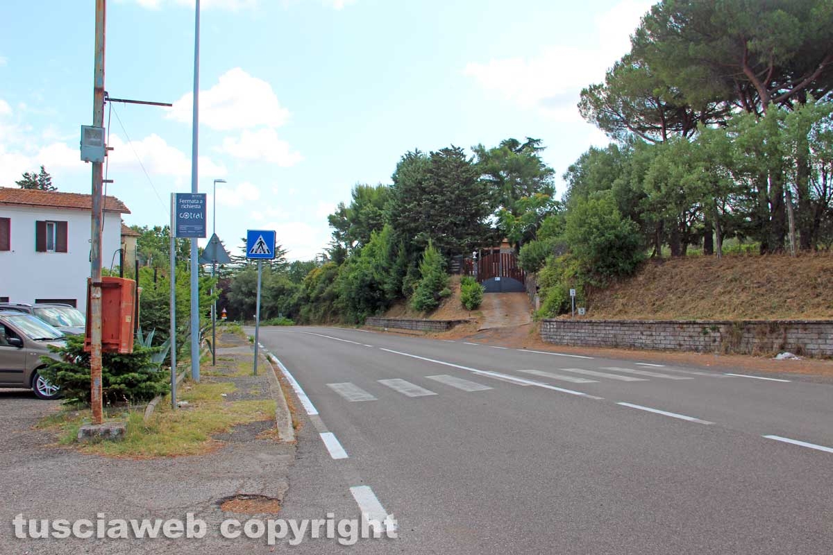 Ponte di Cetti
