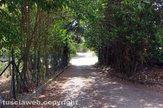 Ponte di Cetti