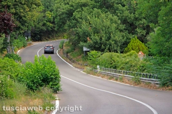 Ponte di Cetti