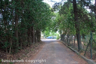 Ponte di Cetti