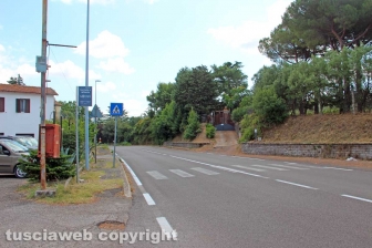 Ponte di Cetti