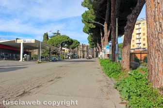 Viterbo - L'erba alta lungo il viale di Porta Romana