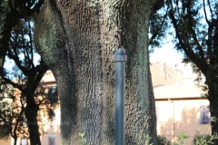 Prato Giardino della vergogna - Cartelli delle vie scomparsi