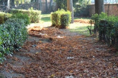Prato Giardino della vergogna - Stradine intasati di foglie