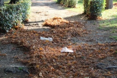 Prato Giardino della vergogna