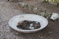 Prato Giardino della vergogna - Fioriere senza fiori