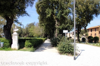 Viterbo - Pratogiardino Battisti