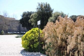 Viterbo - Pratogiardino Battisti