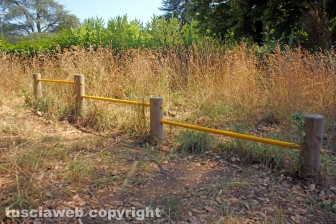 Pratogiardino Lucio Battisti