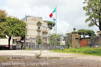 Pratogiardino Lucio Battisti
