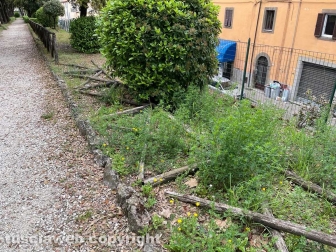 Pratogiardino Lucio Battisti - La staccionata crollata