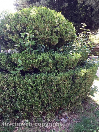 Viterbo - Pratogiardino Lucio Battisti