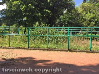 Viterbo - Pratogiardino Lucio Battisti