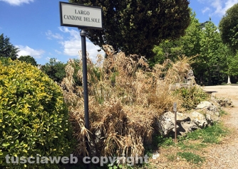 Viterbo - Pratogiardino Lucio Battisti