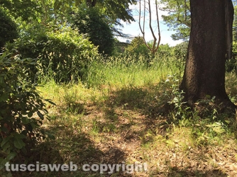 Viterbo - Pratogiardino Lucio Battisti