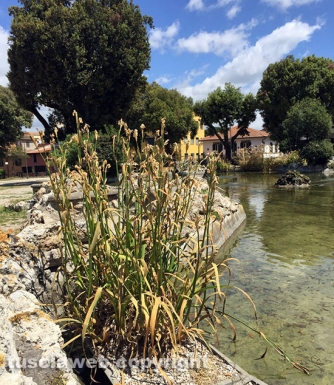 Viterbo - Pratogiardino Lucio Battisti