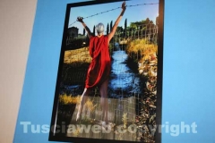 Le opere di Sergio Coppi in mostra all\'hotel Salus Terme