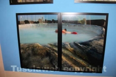 Le opere di Sergio Coppi in mostra all\'hotel Salus Terme