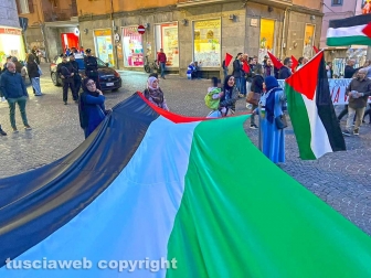 Palestina - Manifestazione per la pace