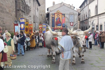 Processione del santissimo Salvatore