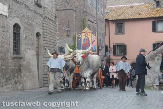 Processione del santissimo Salvatore