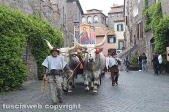 Processione del santissimo Salvatore