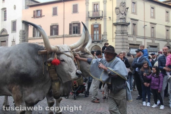 Processione del santissimo Salvatore