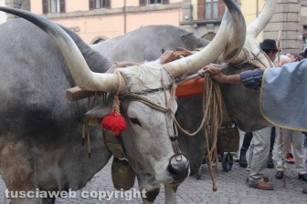 Processione del santissimo Salvatore