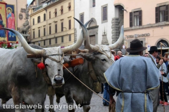 Processione del santissimo Salvatore